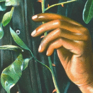K&ouml;nnte beinhalten: Nahaufnahme einer Hand, die einen gr&uuml;nen Stiel mit Dornen h&auml;lt. Die Hand ist hellbraun und der Stiel ist von gr&uuml;nen Bl&auml;ttern umgeben.