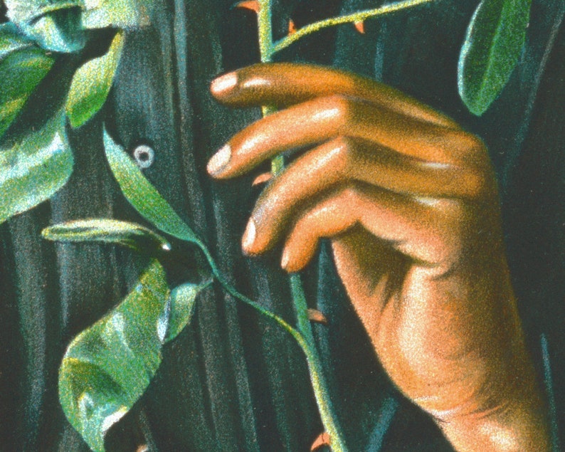 K&ouml;nnte beinhalten: Nahaufnahme einer Hand, die einen gr&uuml;nen Stiel mit Dornen h&auml;lt. Die Hand ist hellbraun und der Stiel ist von gr&uuml;nen Bl&auml;ttern umgeben.