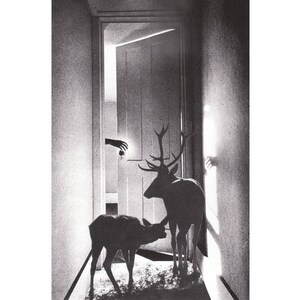 Surreal animal art print, Black and white animal art, Deer, Buck, Wild animals, Wildlife, Wilderness, Animals and humans, Animals and people