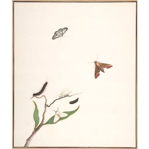 May include: A watercolor painting of a white butterfly, a brown moth, a caterpillar, and a cocoon on a branch with green leaves.