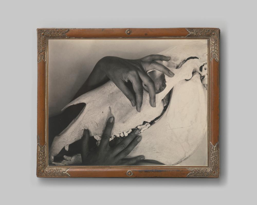 Georgia O'keeffe Hands and Horse Skull Art Print, Alfred Stieglitz