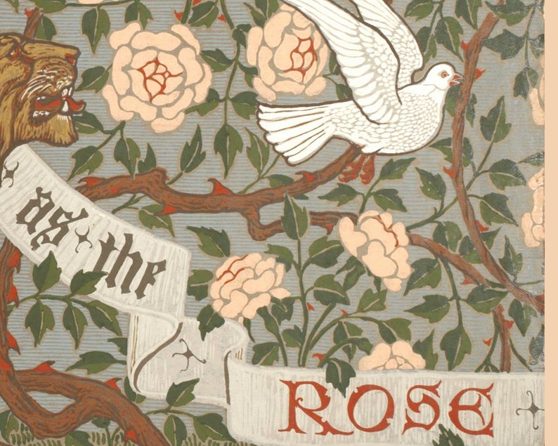 May include: A vintage illustration of a white dove flying over a rose bush with the text "As the Rose" on a banner.