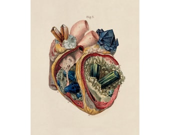 Crystal heart art print, Vintage Anatomical heart, Crystals illustration, Surreal collage wall art, Magical, Geology poster, Human anatomy