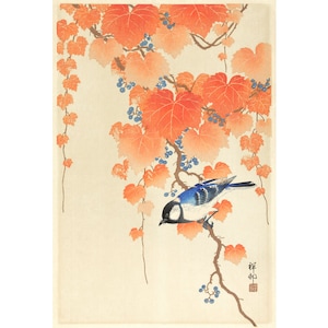 Vintage songbird art print, Autumn leaves painting, Bluebird, Antique nature art, Asian bird wall art, Japanese woodblock print, Ohara Koson