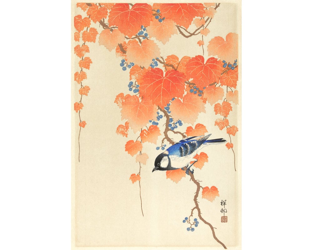 希少 アート 大型本 TROPIAAL ART Birds and Leaves 希少 アート 大型本 TROPIAAL ART Birds and Leaves 希少 アート