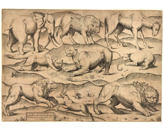 洋書 CLASSIC NATURAL HISTORY PRINTS MAMMALS Antique Animals Art Print, Antique Natural History, Mammals