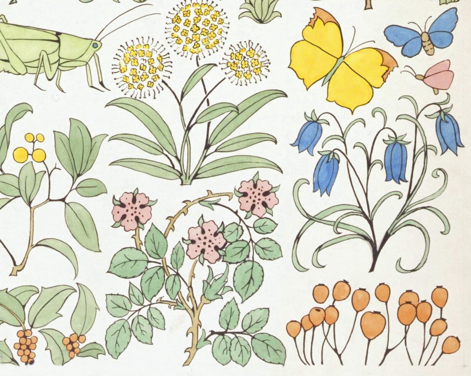 Vintage Nature Art Print Antique Floral Design Garden Wall Etsy