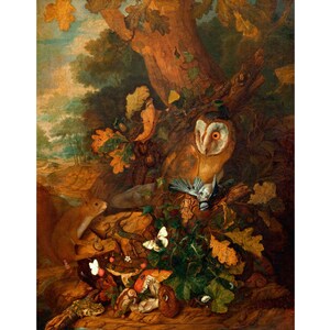 K&ouml;nnte beinhalten: Ein Gem&auml;lde, das eine Waldszene mit einer Schleiereule zeigt, die auf einem Ast sitzt, einem Eichh&ouml;rnchen, Pilzen, Schmetterlingen und anderen Waldtieren. Die Eule blickt mit ihren gro&szlig;en, gelben Augen direkt auf den Betrachter.