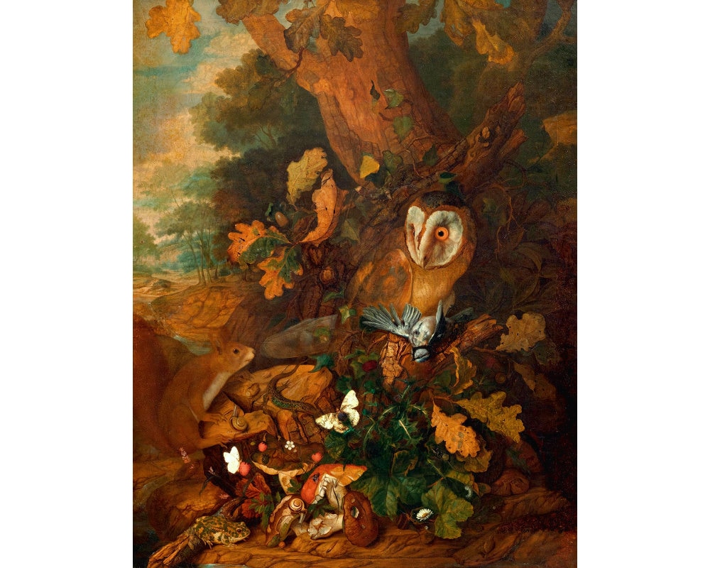 Barn Owl Art Print, Woodland Animals Painting, Vintage Wildlife Wall ...