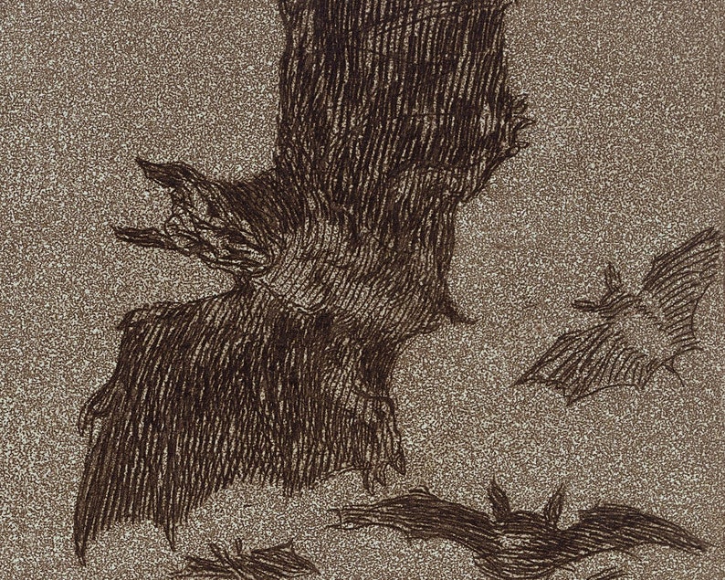 The Sleep of Reason Produces Monsters Francisco Goya art | Etsy