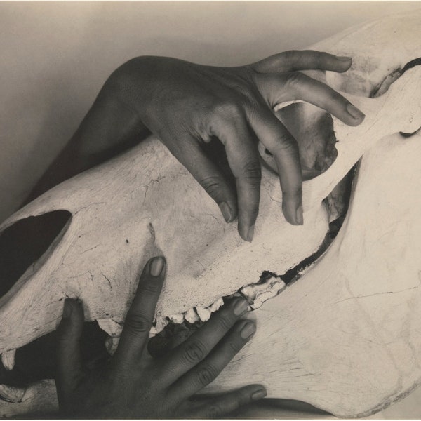 Georgia O'Keeffe Hands and Horse Skull art print, Alfred Stieglitz photography, Memento mori wall art, Antique black and white photograph