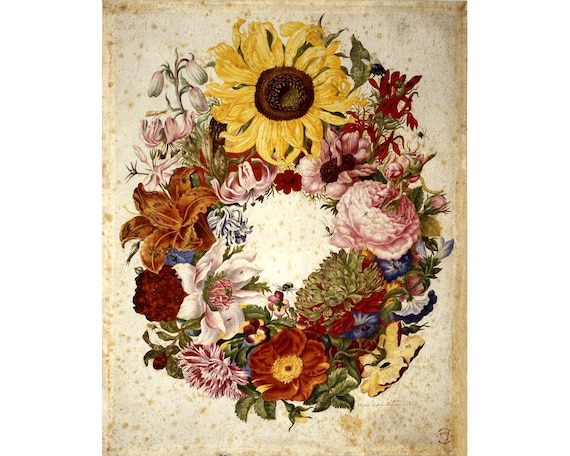 Antique flower painting art print, Maria Sibylla Merian, Wreath of flowers, Bouquet, Sunflower, Shabby chic, Cottage chic, Vintage botanical