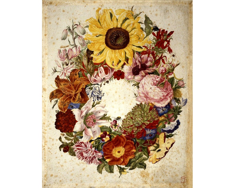 Antique flower painting art print, Maria Sibylla Merian, Wreath of flowers, Bouquet, Sunflower, Shabby chic, Cottage chic, Vintage botanical image 1