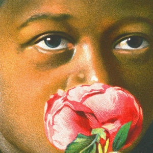 K&ouml;nnte beinhalten: Nahaufnahme eines jungen Gesichts mit einer rosa Blume, die den Mund bedeckt. Die Person hat dunkle Haut und braune Augen.