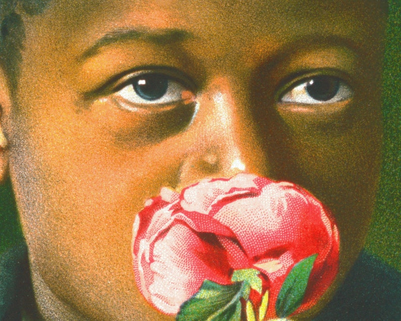 K&ouml;nnte beinhalten: Nahaufnahme eines jungen Gesichts mit einer rosa Blume, die den Mund bedeckt. Die Person hat dunkle Haut und braune Augen.