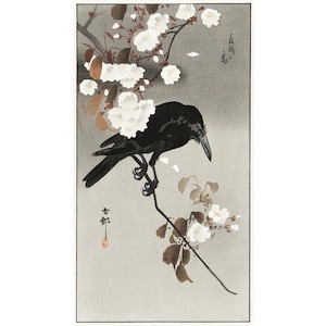 Crow and cherry blossoms painting, Raven art print, Vintage Japanese wall art, Antique Asian bird art, Woodblock print, Ukiyo-e, Ohara Koson