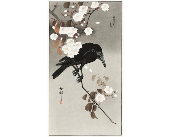 Crow and Cherry Blossoms Painting, Raven Art Print, Vintage