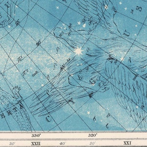 May include: A vintage star chart with a blue background and white lines. The chart shows the constellation Lacerta, which is depicted as a lizard, and the constellation Cygnus, which is depicted as a swan. The chart also includes the names of the stars and constellations, as well as the numbers of the stars.