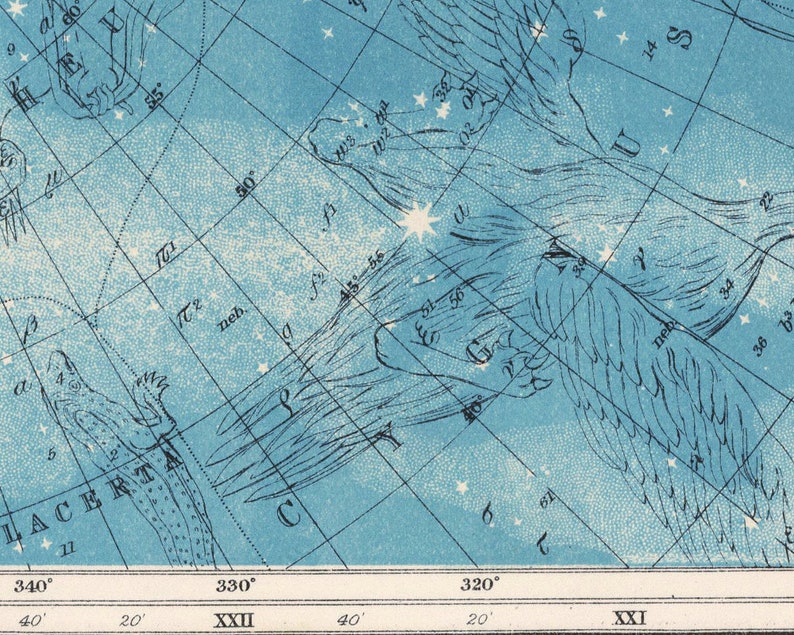 May include: A vintage star chart with a blue background and white lines. The chart shows the constellation Lacerta, which is depicted as a lizard, and the constellation Cygnus, which is depicted as a swan. The chart also includes the names of the stars and constellations, as well as the numbers of the stars.