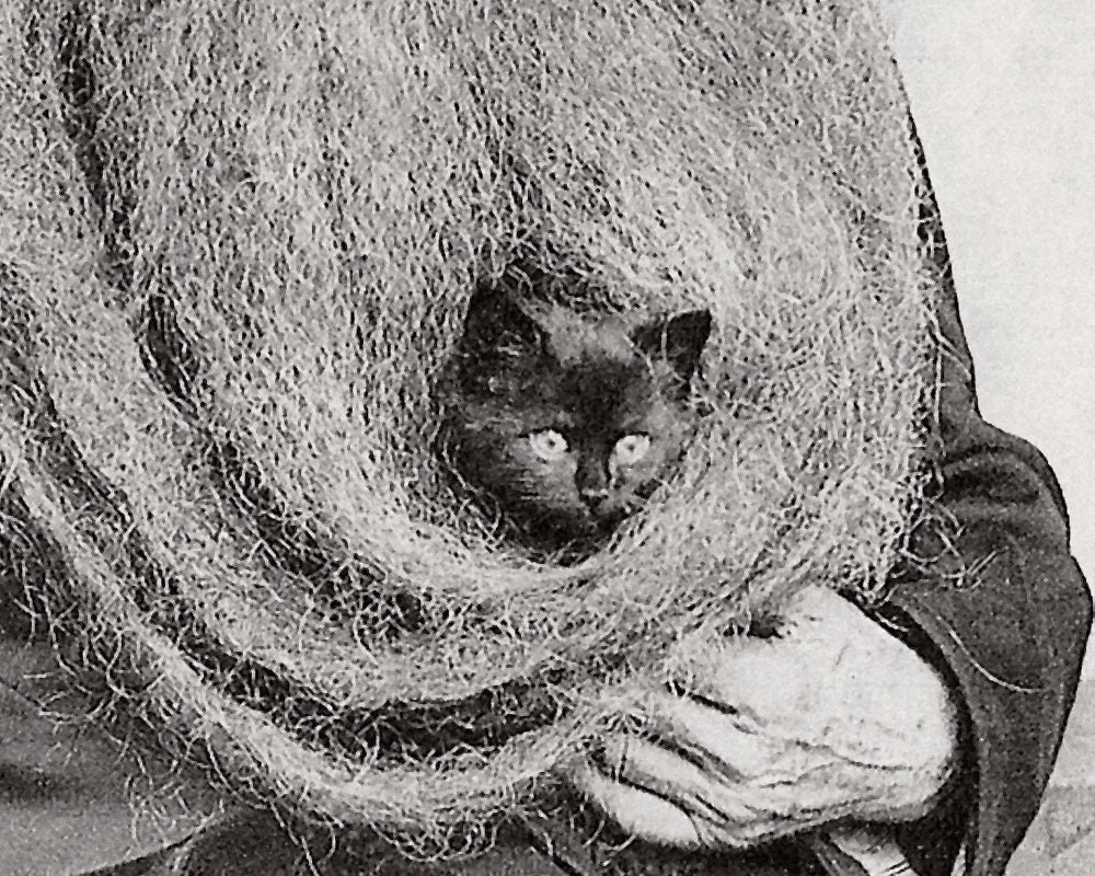 Old Man With Cat in His Beard Vintage Photograph Art Print, Weird Antique  Photography, Strange Old Photo, Black Kitten, Funny Cat Wall Art - Etsy