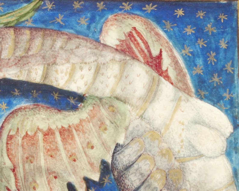 May include: A close-up of a painting depicting a white winged angel with red and pink feathers against a blue background with gold stars.