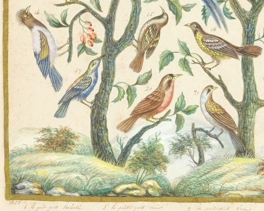 Vintage French Birds Art Print, Songbirds Painting, Tree of Life Wall ...