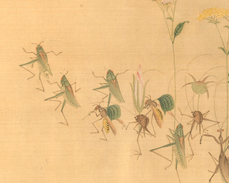 Japanese Insect Drawing Procession of Insects Art Print, Antique Japanese Silk Scroll ...