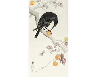 Japanese crow painting, Ohara Koson art print, Persimmon tree, Vintage crow wall art, Antique animal art, Asian scroll, Woodblock print