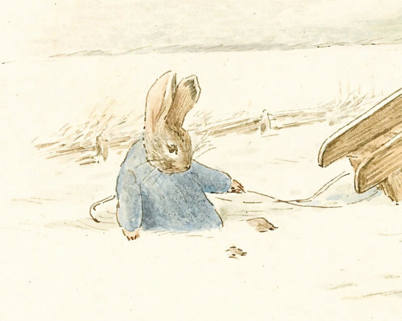 May include: A watercolor illustration of a brown rabbit wearing a blue jacket, sitting in a snowy field. The rabbit is looking down at the ground, and there is a wooden fence in the background.
