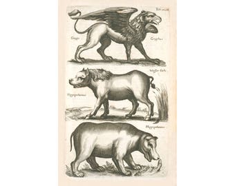 Griffin art print, Antique animal art, Animal art print, Ancient animals, Mythical creatures art, Gryphon, Griffon, Hippopotamus, Hippo