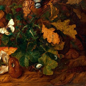 K&ouml;nnte beinhalten: Eine Nahaufnahme eines Stilllebens mit einem wei&szlig;en Schmetterling, einem rot-wei&szlig;en Pilz, einer Schnecke und einem braunen Blatt. Das Gem&auml;lde ist vor einem dunklen Hintergrund mit Holzstruktur.