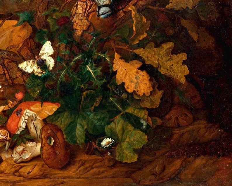 K&ouml;nnte beinhalten: Eine Nahaufnahme eines Stilllebens mit einem wei&szlig;en Schmetterling, einem rot-wei&szlig;en Pilz, einer Schnecke und einem braunen Blatt. Das Gem&auml;lde ist vor einem dunklen Hintergrund mit Holzstruktur.