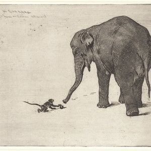 Monkey and Elephant art print, Vintage animal etching, Antique animal art, Zoo animals drawing, Henri Charles Guérard, Black and white
