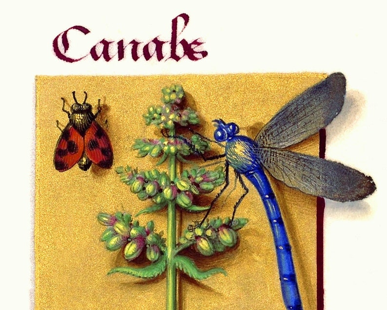 Marijuana Girl Movie Vintage Reproduction Wall Art Decro | UK
