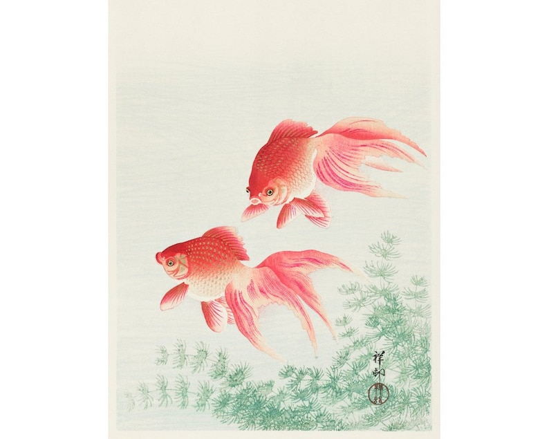 May include: Two red goldfish swimming in a pale blue and white background with green aquatic plants. The goldfish are depicted in a traditional Japanese style.