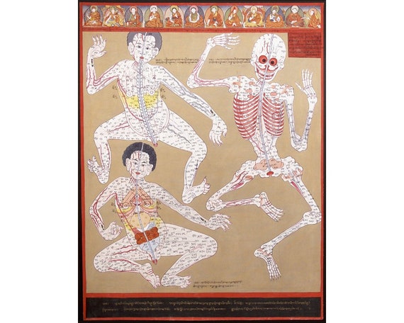 Tibetan Medicine Thangka painting, Antique anatomy art print, Vintage human  anatomical chart, Color anatomy wall art, Antique Asian art