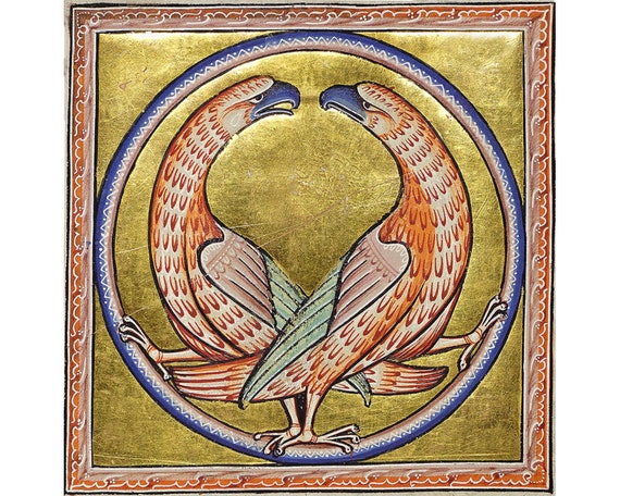 Fine Art Print//Poster 12th Century Manuscript Aberdeen Bestiary: A Hawk.