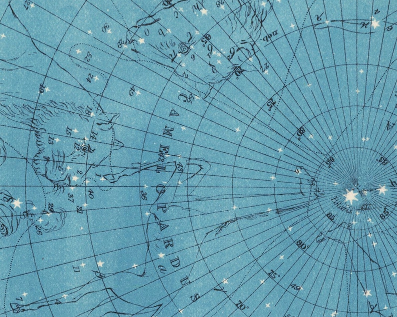 May include: A blue star chart with a grid pattern and white stars. The chart shows the constellation Camelopardalis, which is outlined in black. The constellation is located in the top left corner of the chart. The chart also shows the constellation Ursa Major, which is located in the bottom left corner of the chart. The chart is labelled with the names of the constellations and the numbers of the stars.