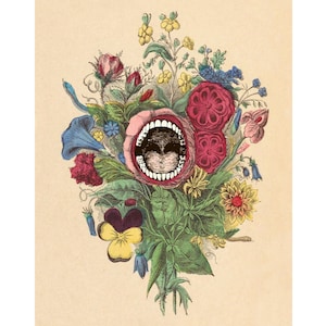 Strange Bouquet, Surreal collage art print, Screaming mouth, Teeth, Anthropomorphic flowers, Weird wall art, Vintage nature collage, Bizarre