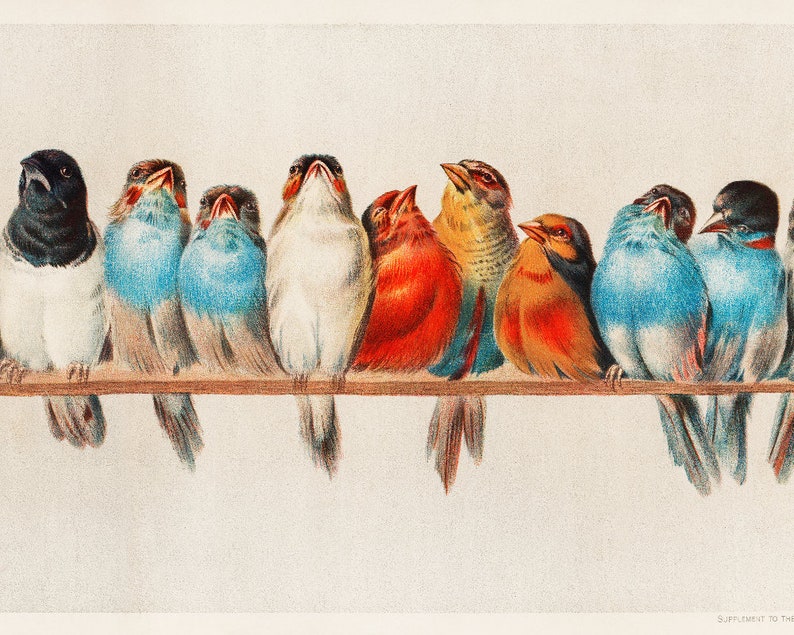 Songbirds art print A Perch of Birds by Hector Etsy