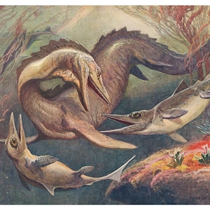 Vintage dinosaur painting, Heinrich Harder art print, Aquatic dinosaurs, Mosasaurus, Ichthyosaurus, Antique reptile art, Paleontology art