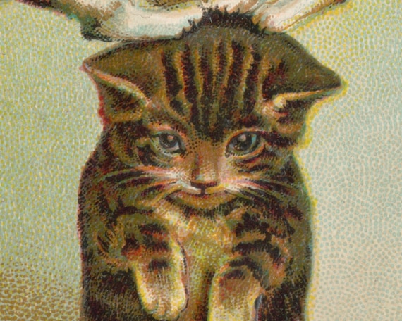 Cartões De Notas De Gato Vintage - 24 Cartões De Notas De Gatinho 