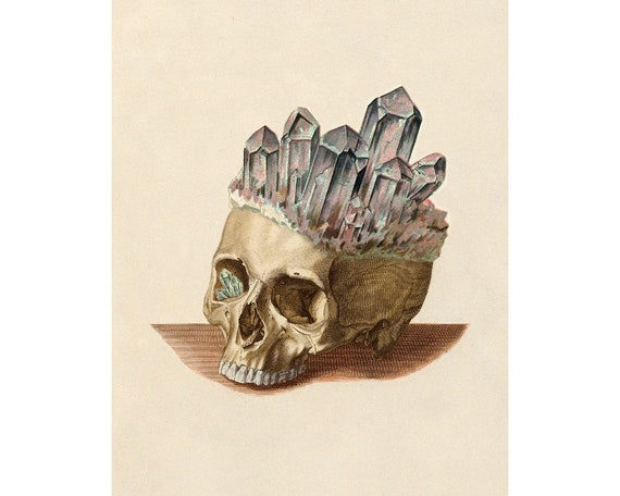42353635_2