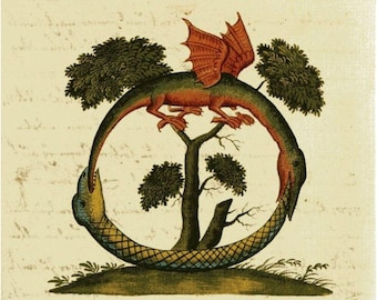 Medieval Ouroboros art print, Antique Alchemical drawing, Ancient Alchemy wall art, Uroboros painting, Medieval dragon, Mythical creature