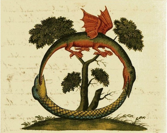 Medieval drawings 2024