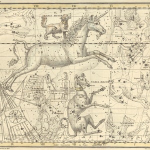 Tableau des constellations antiques, carte des étoiles vintage, impression d'art atlas céleste, monocéros, art mural licorne, affiche d'astronomie, Canis major, Orion