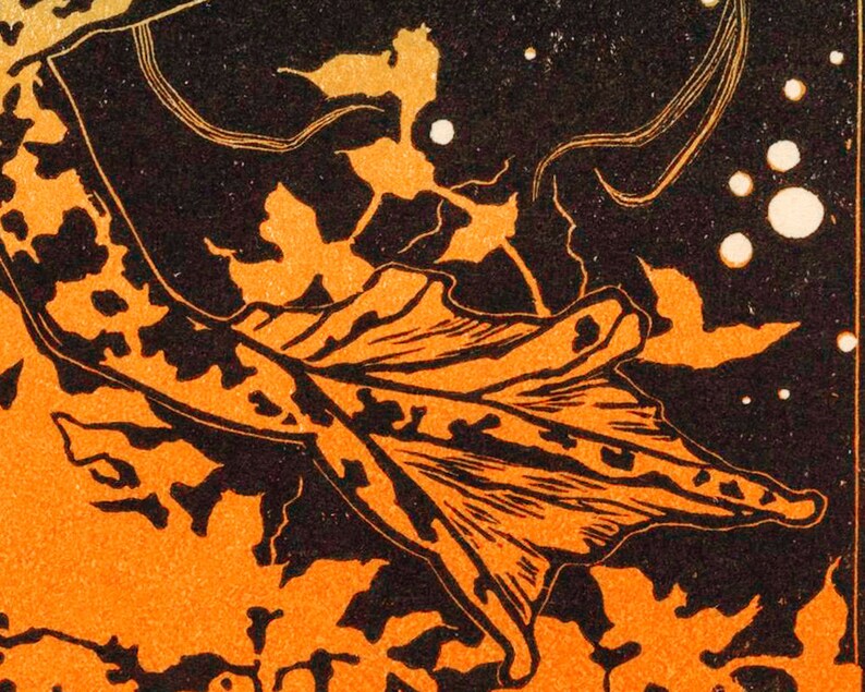 May include: A black and orange leaf with a detailed vein pattern against a dark background with white dots.