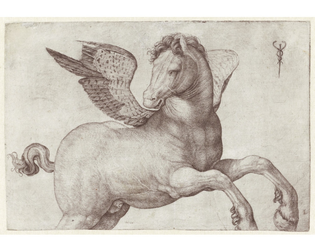 ペーパークラフト ペガサス アート フレーム付き ペーパークラフト ペガサス アート フレーム付き