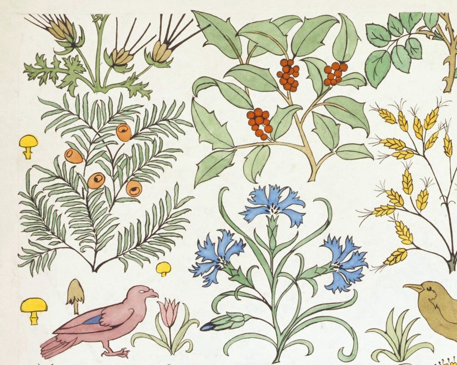 Vintage Nature Art Print Antique Floral Design Garden Wall Etsy