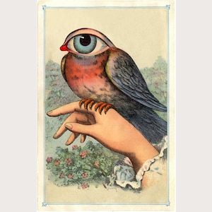 Strange Bird, Collage art print, Vintage eye, Victorian hand, Surreal animal wall art, Eyeball, Dada, Weird, Psychedelic, Magical creature